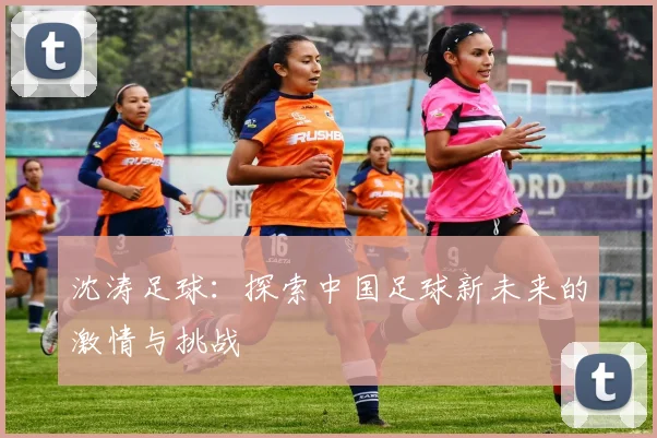 沈涛足球：探索中国足球新未来的激情与挑战