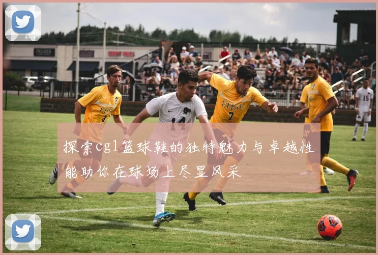 探索cg1篮球鞋的独特魅力与卓越性能助你在球场上尽显风采