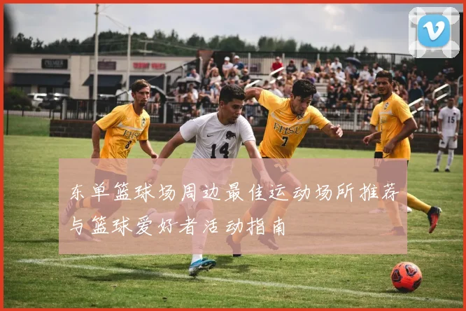 东单篮球场周边最佳运动场所推荐与篮球爱好者活动指南