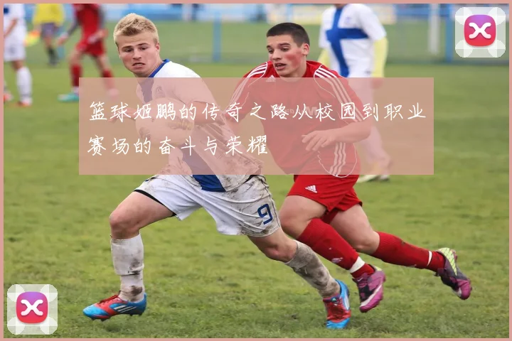 篮球姬鹏的传奇之路从校园到职业赛场的奋斗与荣耀